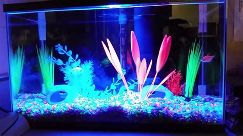 10 gallon GloFish Tank - YouTube