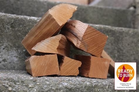 Kiln Dried Hardwood Logs – EasyStore bags | The Log Store Group