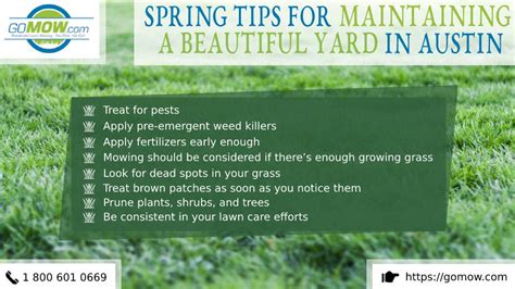 Spring tips for maintaining a beautiful yard in Austin - GoMow