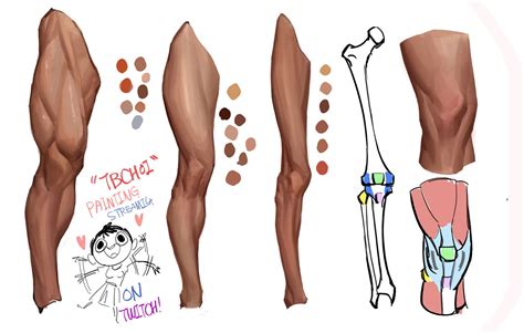 ArtStation - ART tips frpm TBchoi :):) , TB Choi | Anatomy reference, Anatomy tutorial, Leg anatomy