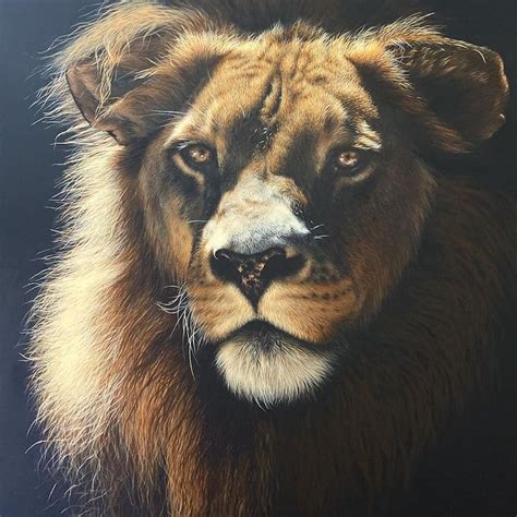 Hyperrealistic Oil Paintings Capture the Wild Nature of the Animal Kingdom