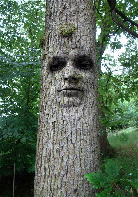 Photo gratuite: Arbre, L'Homme, Visage, Résumé - Image gratuite sur ...