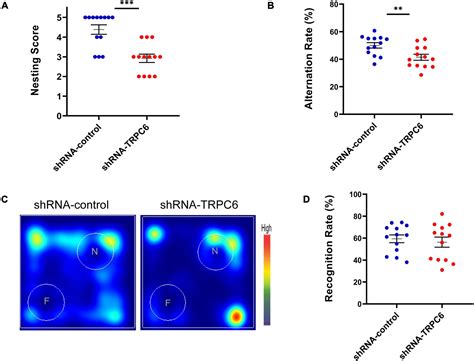 Frontiers | AAV Delivery of shRNA Against TRPC6 in Mouse Hippocampus Impairs Cognitive Function