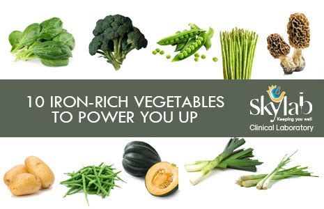 10 Iron-Rich Vegetables to Power You Up - Clinical Laboratory in Trivandrum