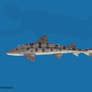 Giant Thresher Shark Size by SameerPrehistorica on DeviantArt