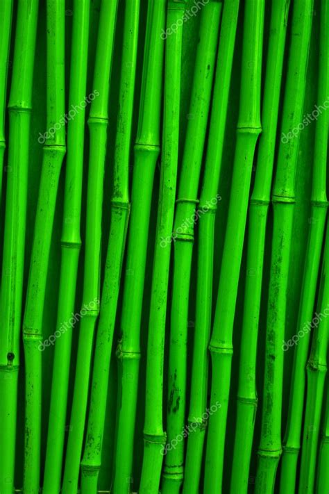 Green bamboo texture | Green bamboo texture — Stock Photo © gdolgikh #5728810