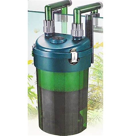 Discover the Best Canister Filter for a 30 Gallon Tank - Ultimate Guide - Tiny Finz