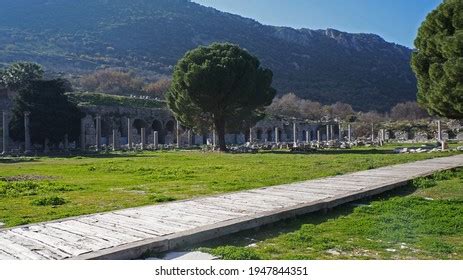 241 Efes antik Images, Stock Photos & Vectors | Shutterstock