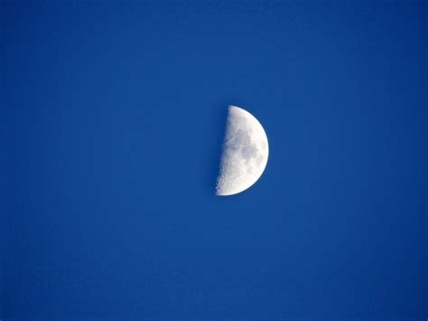 Half moon night sky Photos in .jpg format free and easy download ...