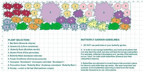 Butterfly Garden Paln | Butterfly garden design, Butterfly garden ...