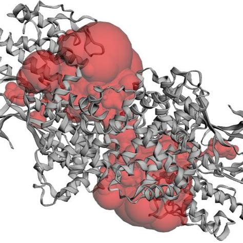 Structure of Cyclin Dependent Kinase | Download Scientific Diagram