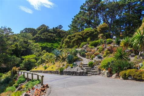 Botanic Garden in Wellington Stock Image - Image of strolling, gardens ...