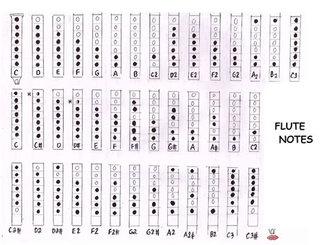 Flute Notes Diagram