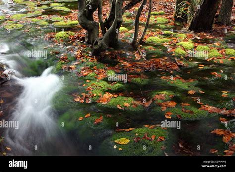 Akita Prefecture, Japan Stock Photo - Alamy