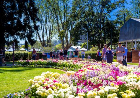 Toowoomba Flower Festival 2024 Tickets - Moll Teresa