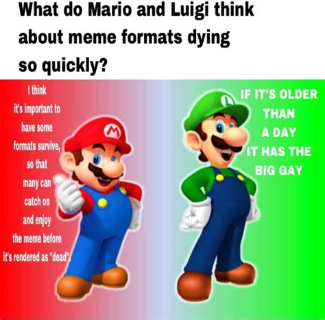 Luigi And Mario Says Memes | Dlhumourd