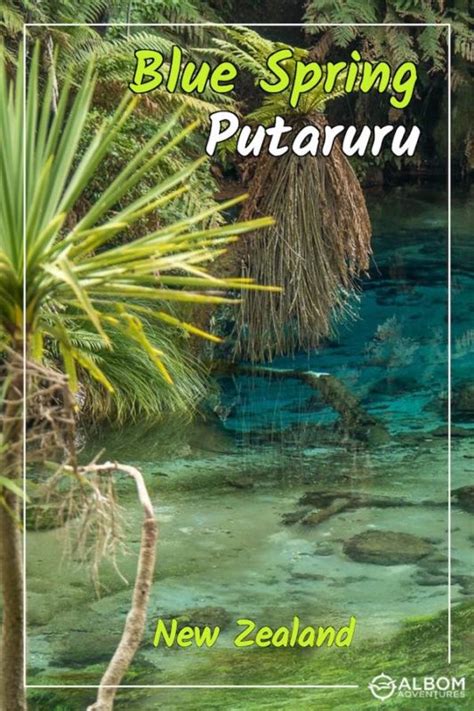 Blue Spring Putaruru: Enjoy Crystal Clear Water Along Te Waihou Walkway