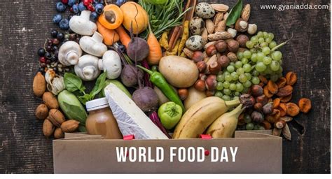 Happy World Food Day Quotes: Theme, Activities, Wishes 2024