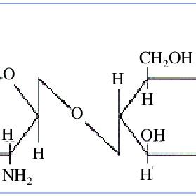 Molecular structure of chitosan. | Download Scientific Diagram