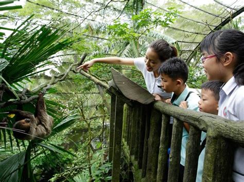 Singapore Zoo Tickets Price 2024 + [Promotions / Online Discounts]