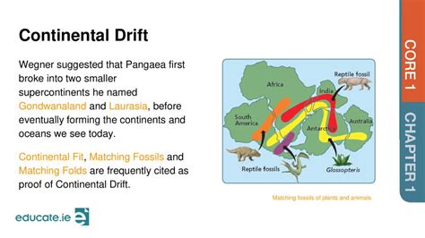 CHAPTER 1 Plate Tectonics. - ppt download