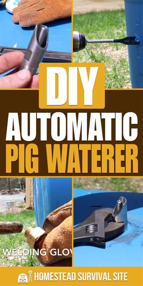 DIY Automatic Pig Waterer | Pig waterer, Pig farming, Pig food