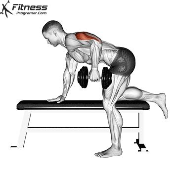 Triceps » Workout Routine Created By Toby Shinitchi