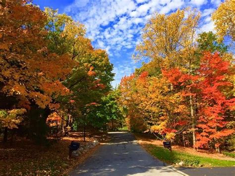 PHOTOS: Fall colors around Indiana | Photo, Fall colors, Fall photos