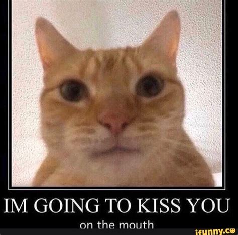 IM GOING TO KISS YOU - iFunny :) | Cute memes, Funny memes, Stupid ...