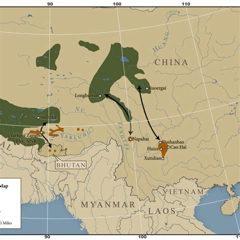 Black-necked Crane range map Black lines are confirmed migration ...