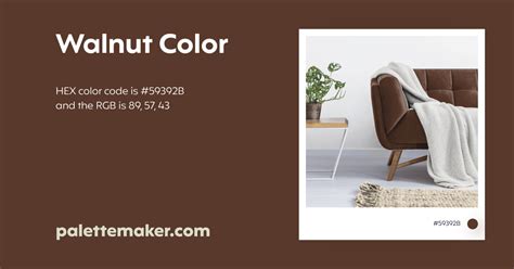 Walnut Color - HEX #59392B Meaning and Live Previews - PaletteMaker