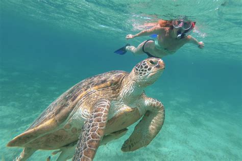 7 best Nassau Snorkeling locations in the Bahamas