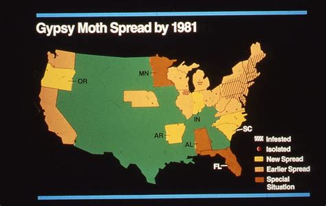 c.1982. Map of the US showing gypsy moth spread by 1981. | Flickr