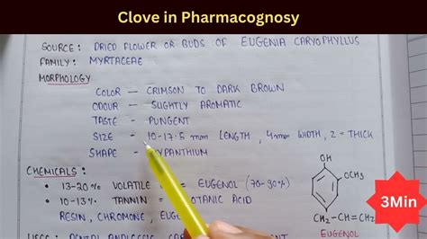 Clove in pharmacognosy | clove chemical constituents | Eugenol | uses of clove | morphology of ...