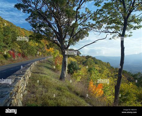 Skyline Drive, Shenandoah National Park, Virginia Stock Photo - Alamy