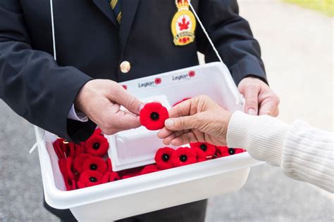 Royal Canadian Legion’s Poppy Campaign begins tomorrow - North Bay News