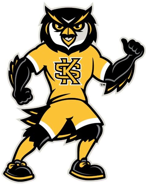 Kennesaw State Owls Mascot Logo (2012) - Scrappy the Owl mascot ...