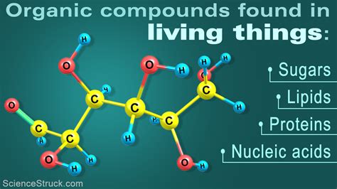 Organic Compounds Examples Everyday Life