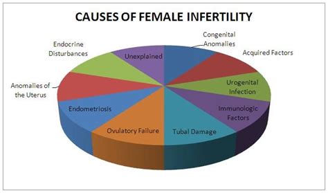 Top 9 causes of Infertility in Women | KJK Hospital and Fertility ...