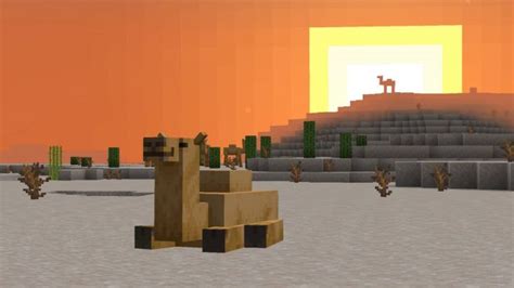 Minecraft update version 1.20 update coming in 2023, first details