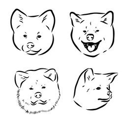 Akita dog face - isolated inu dog Royalty Free Vector Image