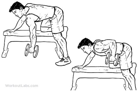 One-Arm Dumbbell Row | Illustrated Exercise guide - WorkoutLabs