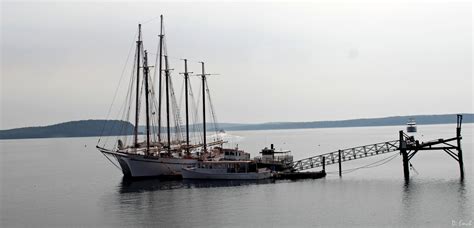 Capture America Journal: Maine; Bar Harbor Lighthouse Tour and Whale Watch