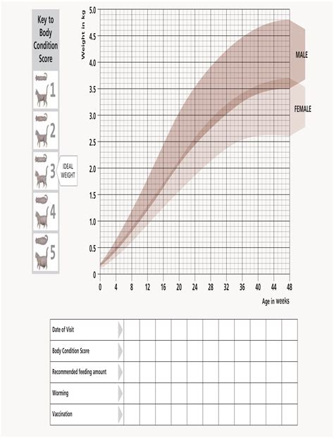 Kitten growth chart from Hill's | Kitten growth chart, Growth chart, Cat weight chart