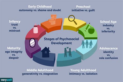 Erik Erikson's stages of psychosocial development Diagram | Quizlet