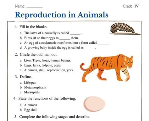 an animal worksheet with the words reproduction in animals on it's side