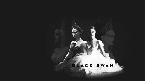 🔥 [48+] Black Swan Wallpapers | WallpaperSafari