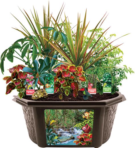 Tropical Rainforest Jungle Biosphere Terrarium - Silver Circle Products