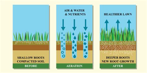 Compacted Soil | Lawn Doctor of Boston