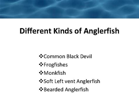 How are anglerfish bioluminescent Different Kinds of Anglerfish